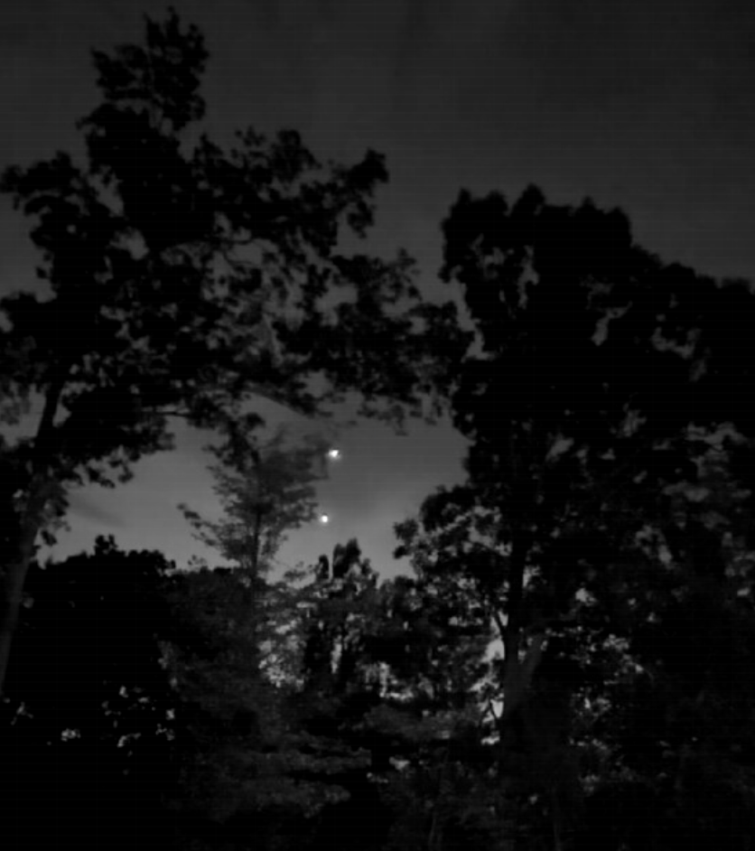 Night-vision style backyard image showing two bright lights between trees.